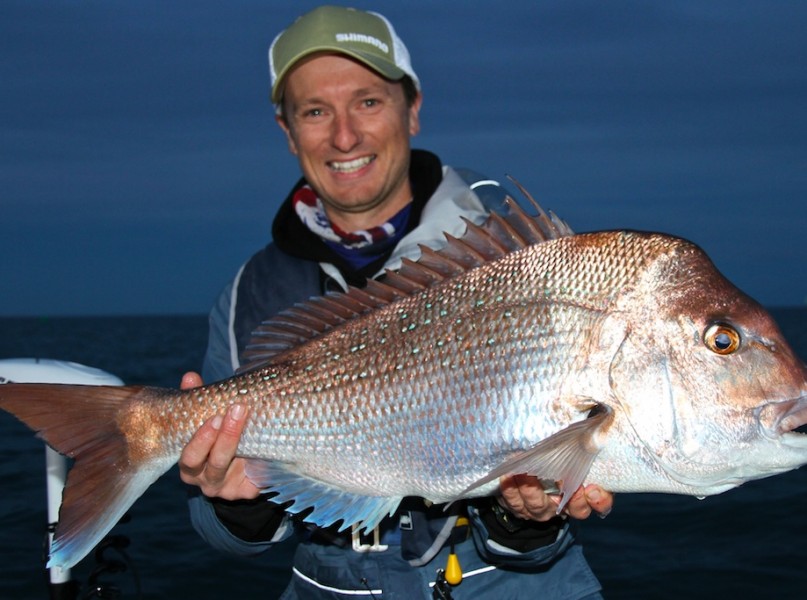 Corio Bay Snapper