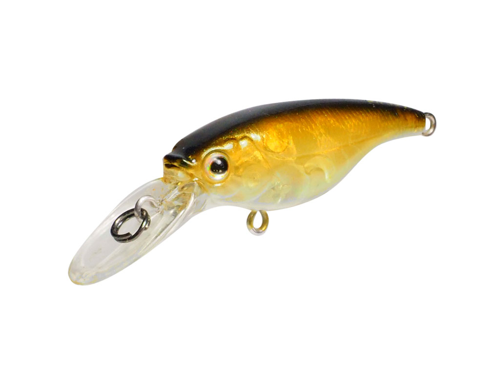 Top 10 Hardbody lures for bream Fishing