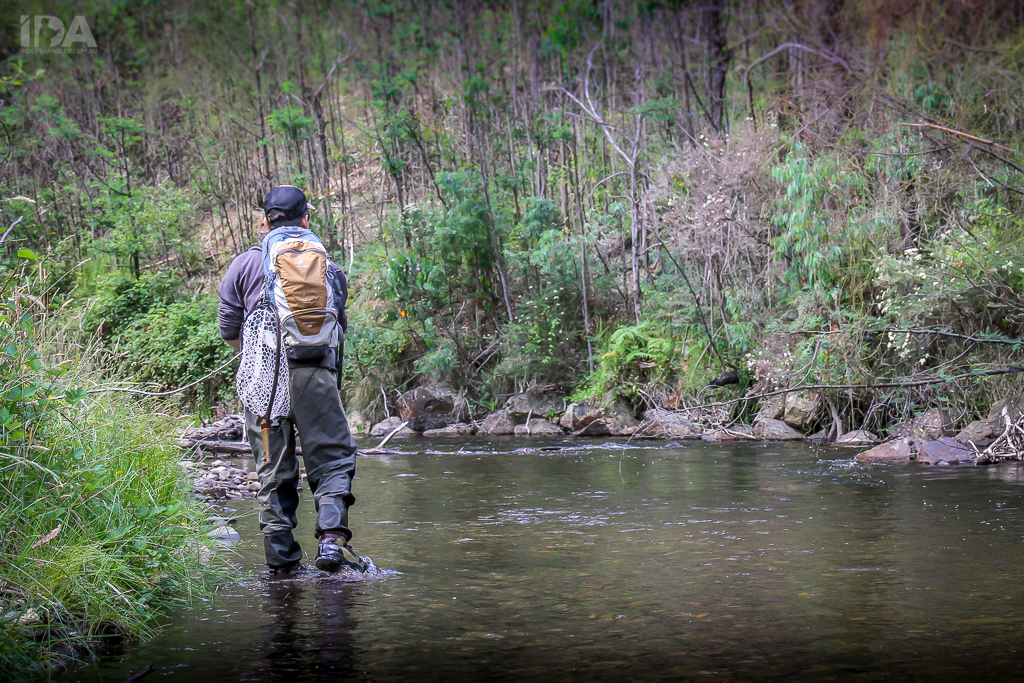 REVIEW: Korkers Redside Wading Boots