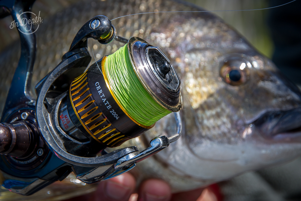 Review: Daiwa Morethan 12 braid