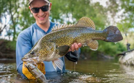 Clearwater Murray cod on Jackall gantia