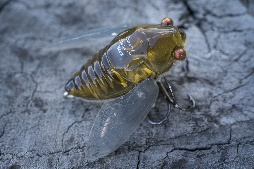 Cicada fishing lures and how to fish them