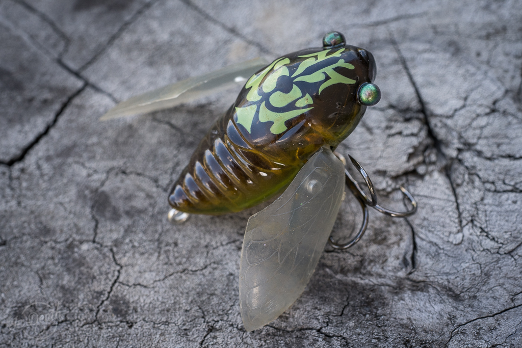 Cicada fishing lures and how to fish them